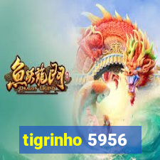 tigrinho 5956